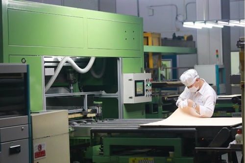 聚焦東莞戰略性新興產業③│新材料 進軍2000億，東莞底氣十足